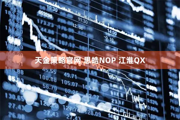 天金策略官网 思皓NOP 江淮QX