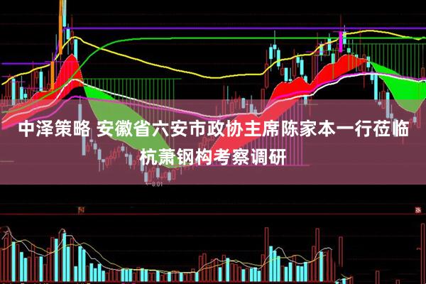 中泽策略 安徽省六安市政协主席陈家本一行莅临杭萧钢构考察调研