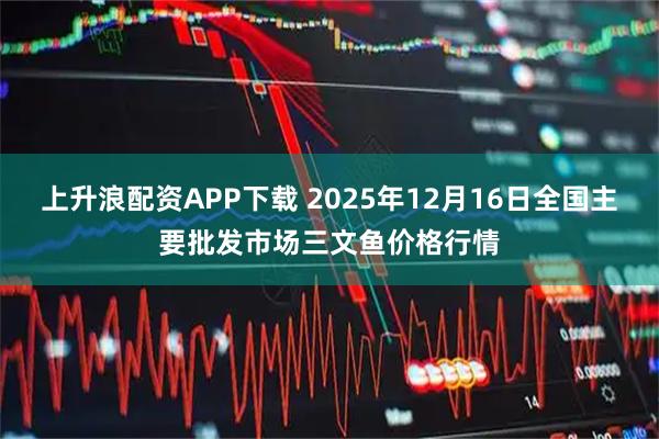 上升浪配资APP下载 2025年12月16日全国主要批发市场三文鱼价格行情
